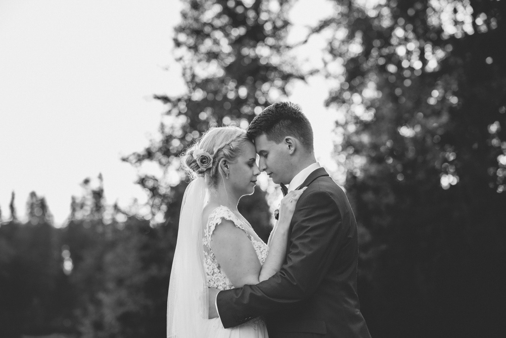 fotografia ślubna Częstochowa