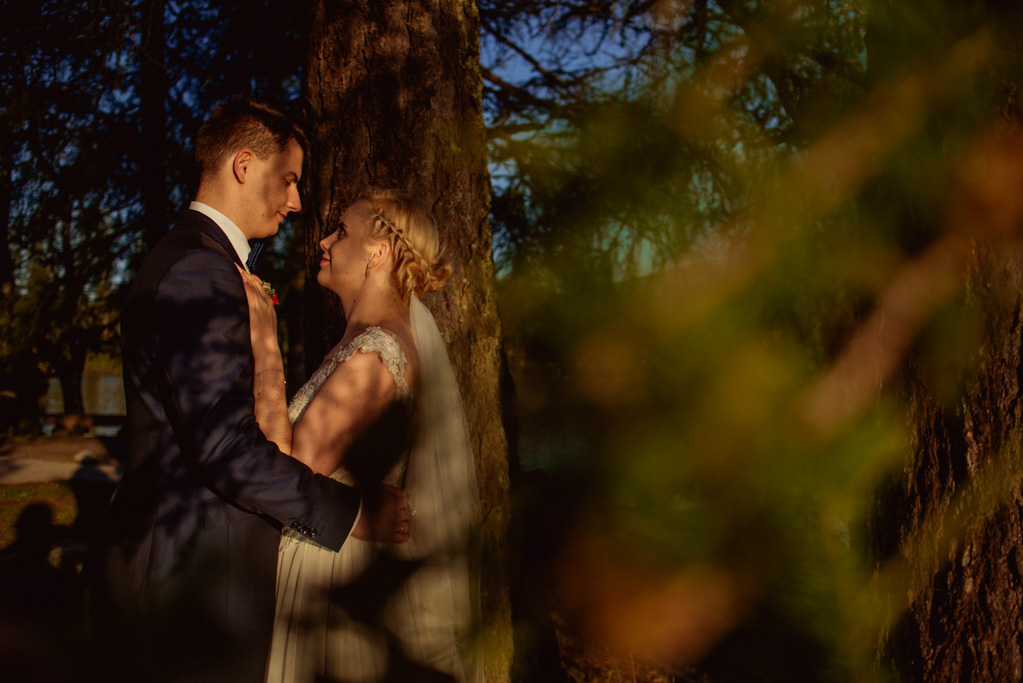 fotografia ślubna Częstochowa