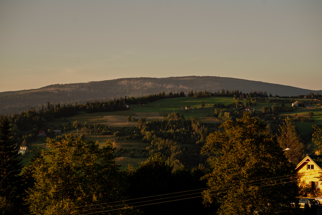 plener ślubny Fotografia ślubna