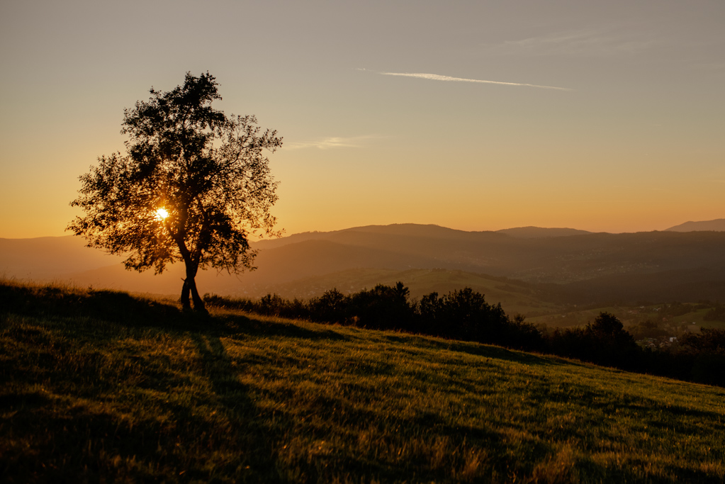 plener ślubny Fotografia ślubna