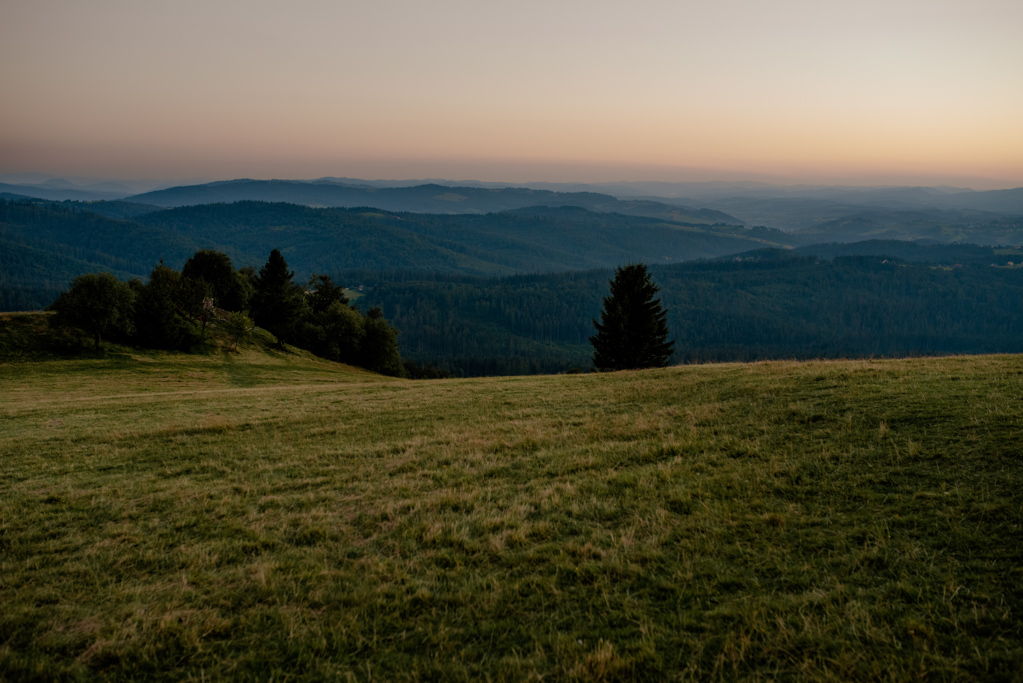 plener ślubny Fotografia ślubna