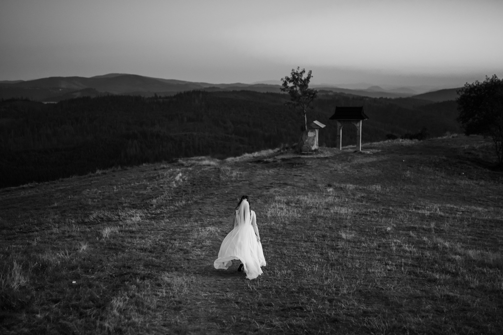 plener ślubny Fotografia ślubna