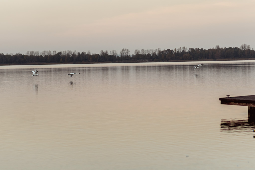 fotografia ślubna Częstochowa